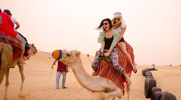 Dubai Trio Package on Sharing Basis: Desert Safari, Dhow Cruise Marina and Dubai City Tour