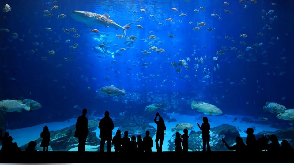 Antalya : All About Antalya Aquarium