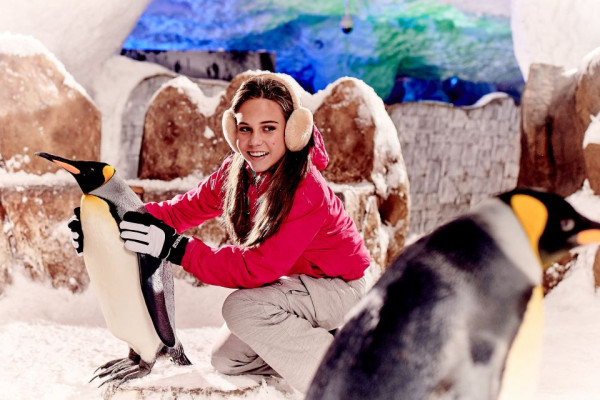 Ski Dubai Premium Snow Pass (40 Minute Encounter with Penguin) Ticket Only