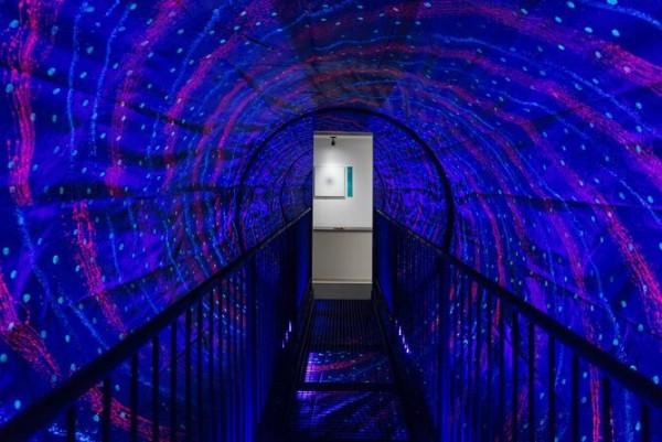 Museum of Illusions Dubai General Admission Entrance with Private Transfer