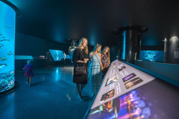 The Palm View Observatory Deck General Admission Tickets with Private Transfer