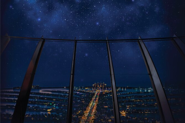 The Palm View Observatory Deck General Admission Tickets with Sharing Transfer