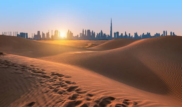 Guide to Desert Safari in Dubai – What to Expect, Wear & Experience