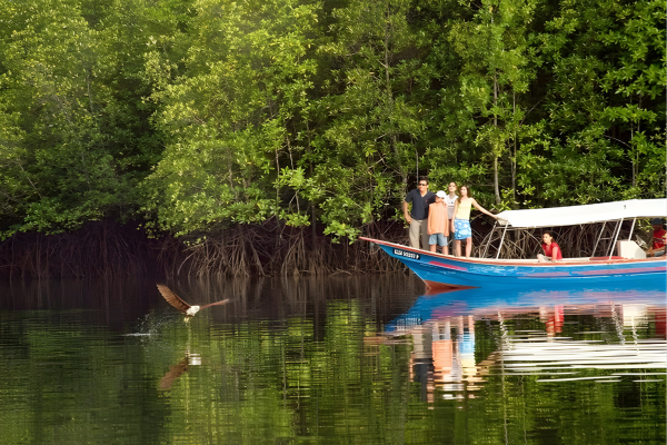 Tanjung Rhu Mangrove Tour in Langkawi