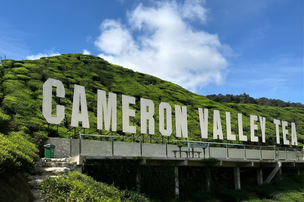 Cameron Highland Tour From Kuala Lumpur